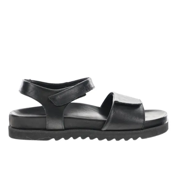 Sovella Women's Chloe Black