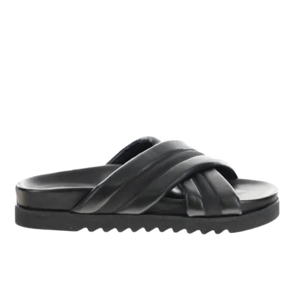 Sovella Women's Coty Black